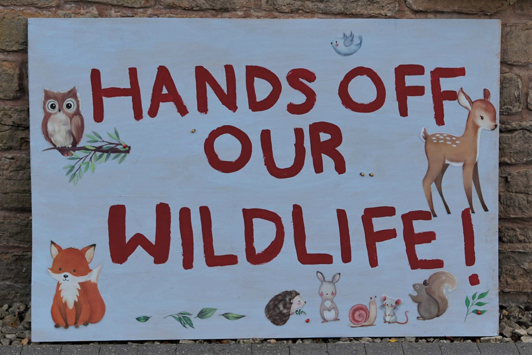Hucknall-Against-Whyburn-Farm-Development-Community-Walk-13-11-21-Hands-Off-Our-Wildlife