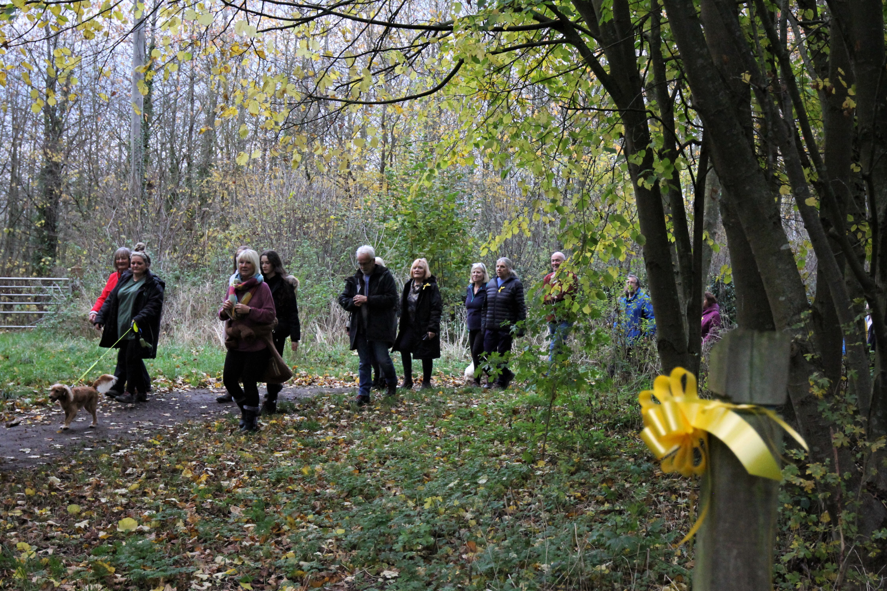 Hucknall-Against-Whyburn-Farm-Development-Group-Walking-Through-Dob-Park-With-Yellow-Ribbon-In-Foreground-13-11-21